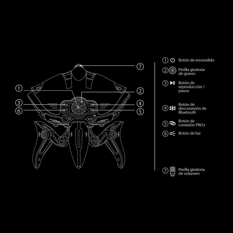 label-19